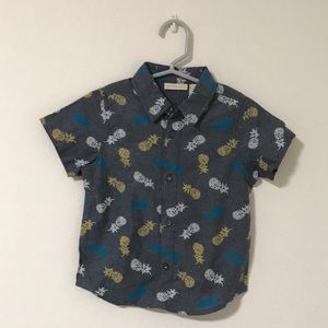 New pineapple button down collar shirt